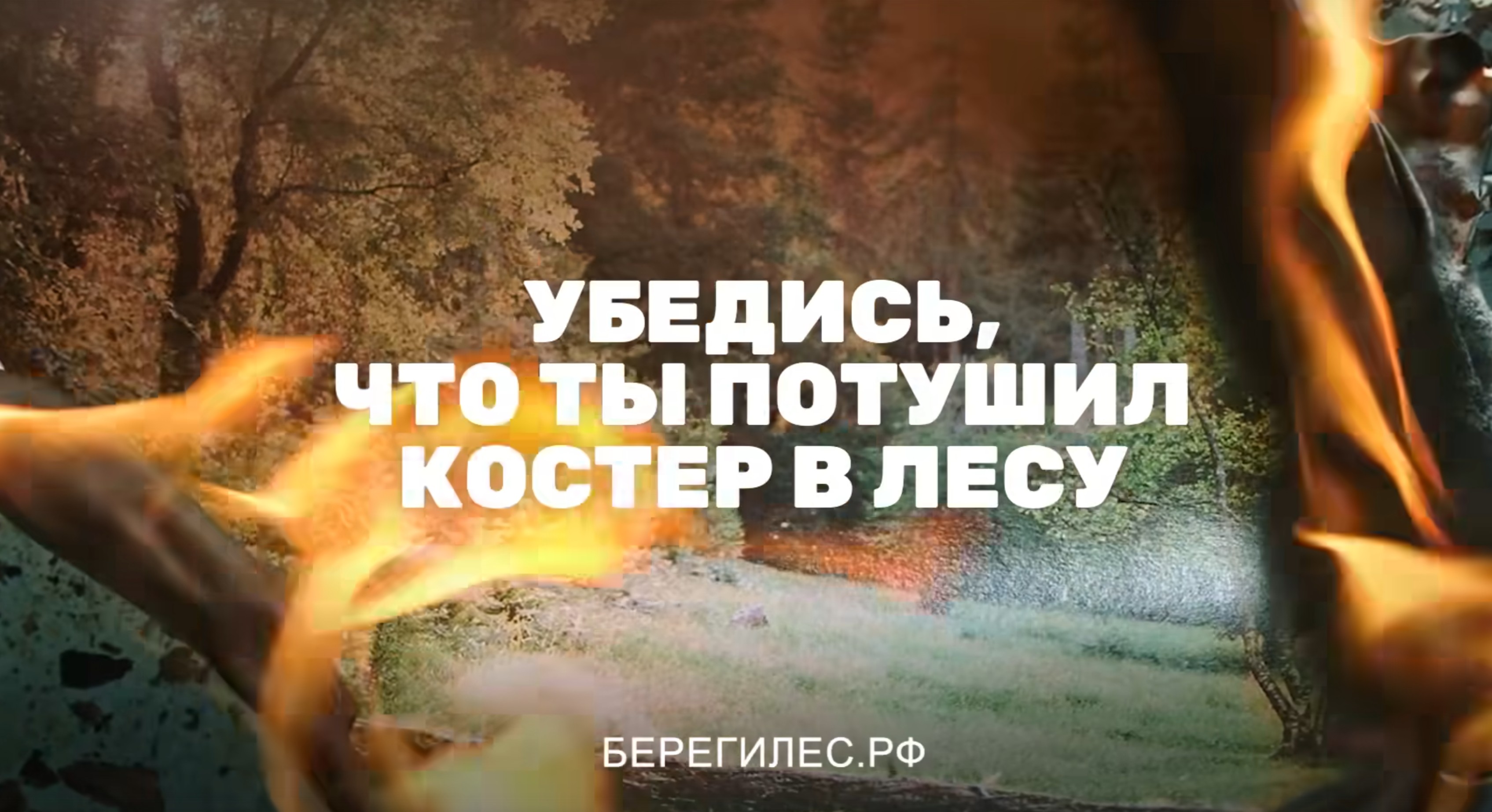 Берегите лес от пожаров!
